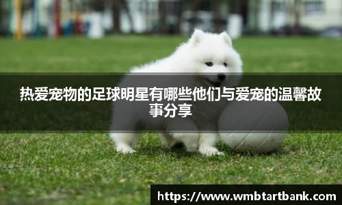 热爱宠物的足球明星有哪些他们与爱宠的温馨故事分享