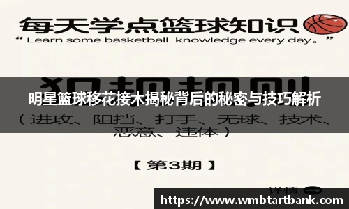 明星篮球移花接木揭秘背后的秘密与技巧解析